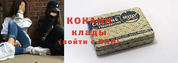 герыч Пересвет