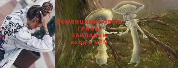 герыч Пересвет