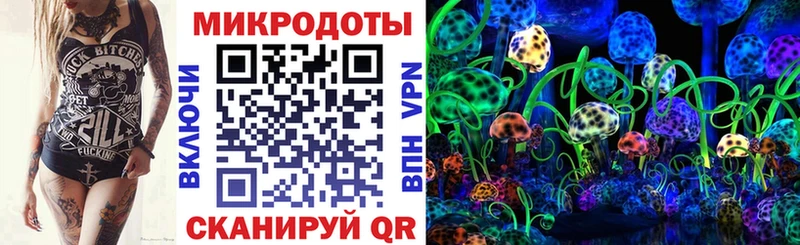 Галлюциногенные грибы Psilocybine cubensis Покров